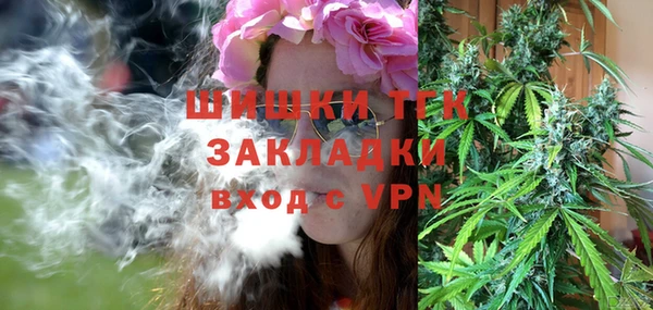 стаф Аркадак