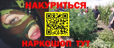 прущие крисы Сланцы