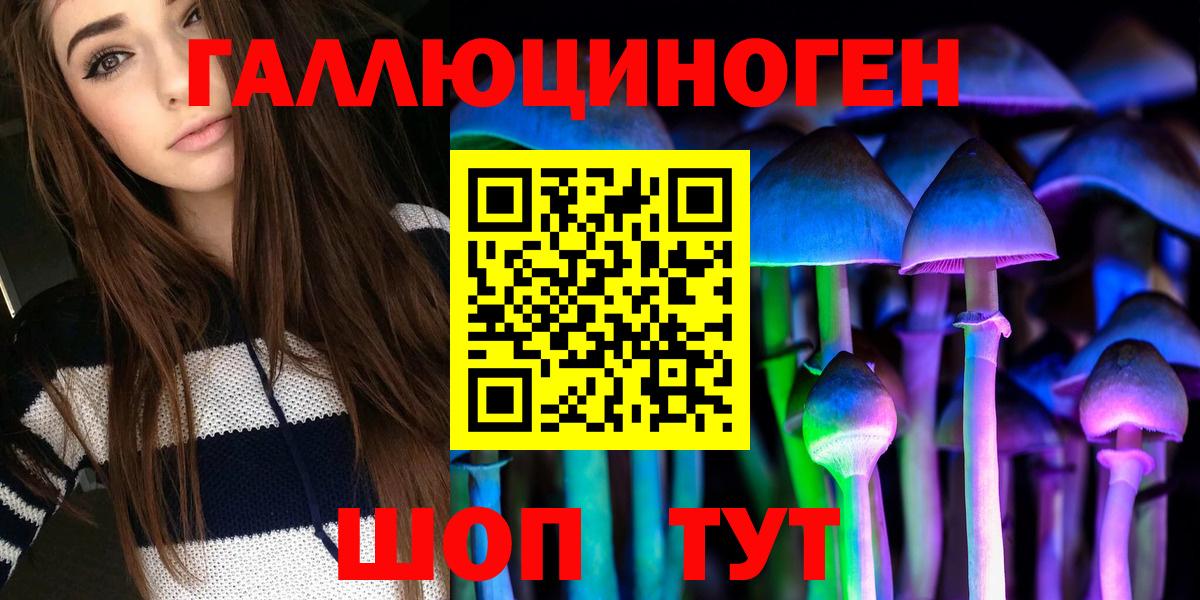 Севастополь  Галлюциногенные грибы Psilocybine cubensis  Вход с VPN 