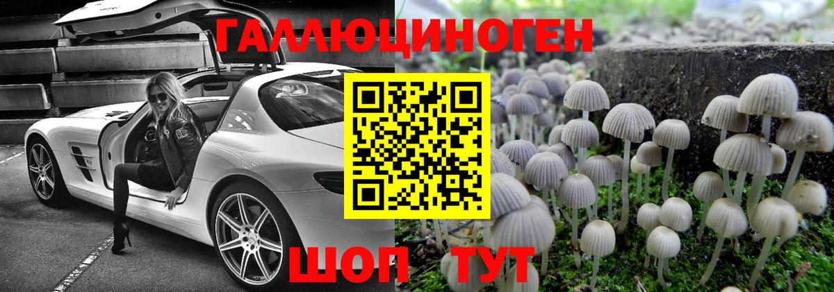 Галлюциногенные грибы Cubensis Севастополь